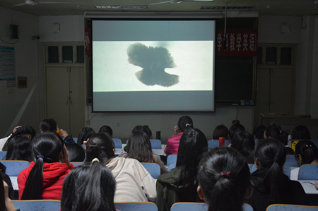 世界足球官网开展经典影片观摩活动